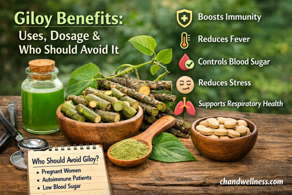 Giloy Benefits Uses, Dosage & Who Should Avoid It
